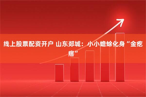 线上股票配资开户 山东郯城：小小蟾蜍化身“金疙瘩”