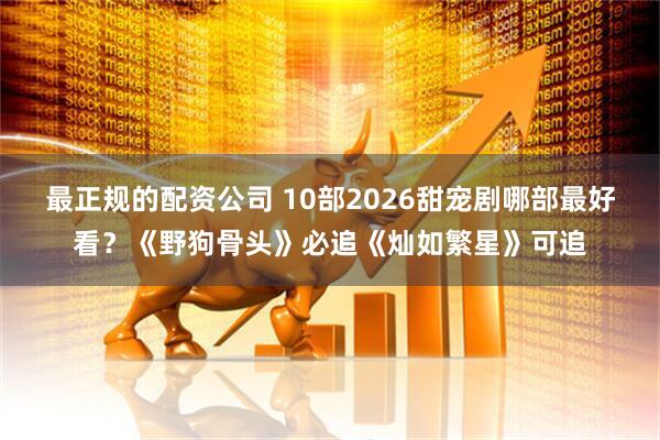 最正规的配资公司 10部2026甜宠剧哪部最好看？《野狗骨头》必追《灿如繁星》可追