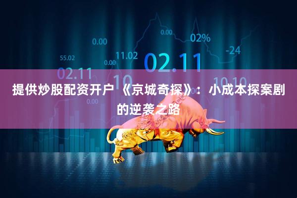 提供炒股配资开户 《京城奇探》：小成本探案剧的逆袭之路